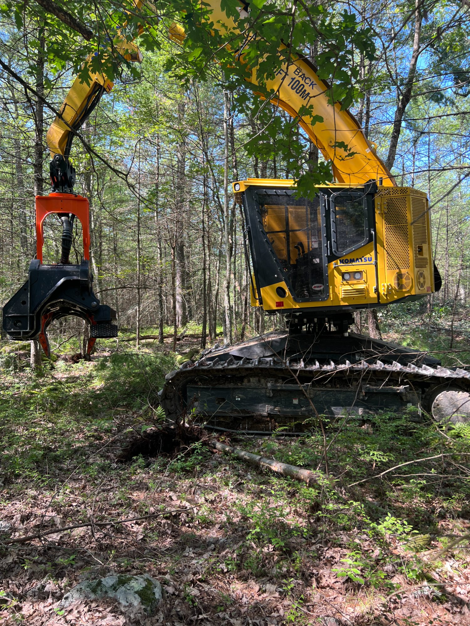 Komatsu feller buncher during a selective timber harvest in New York