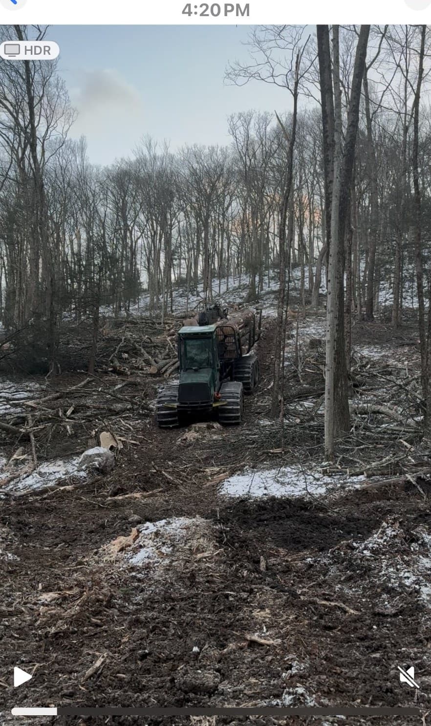 Forwarder loaded with hardwood logs at a Westbrookville, NY harvest site