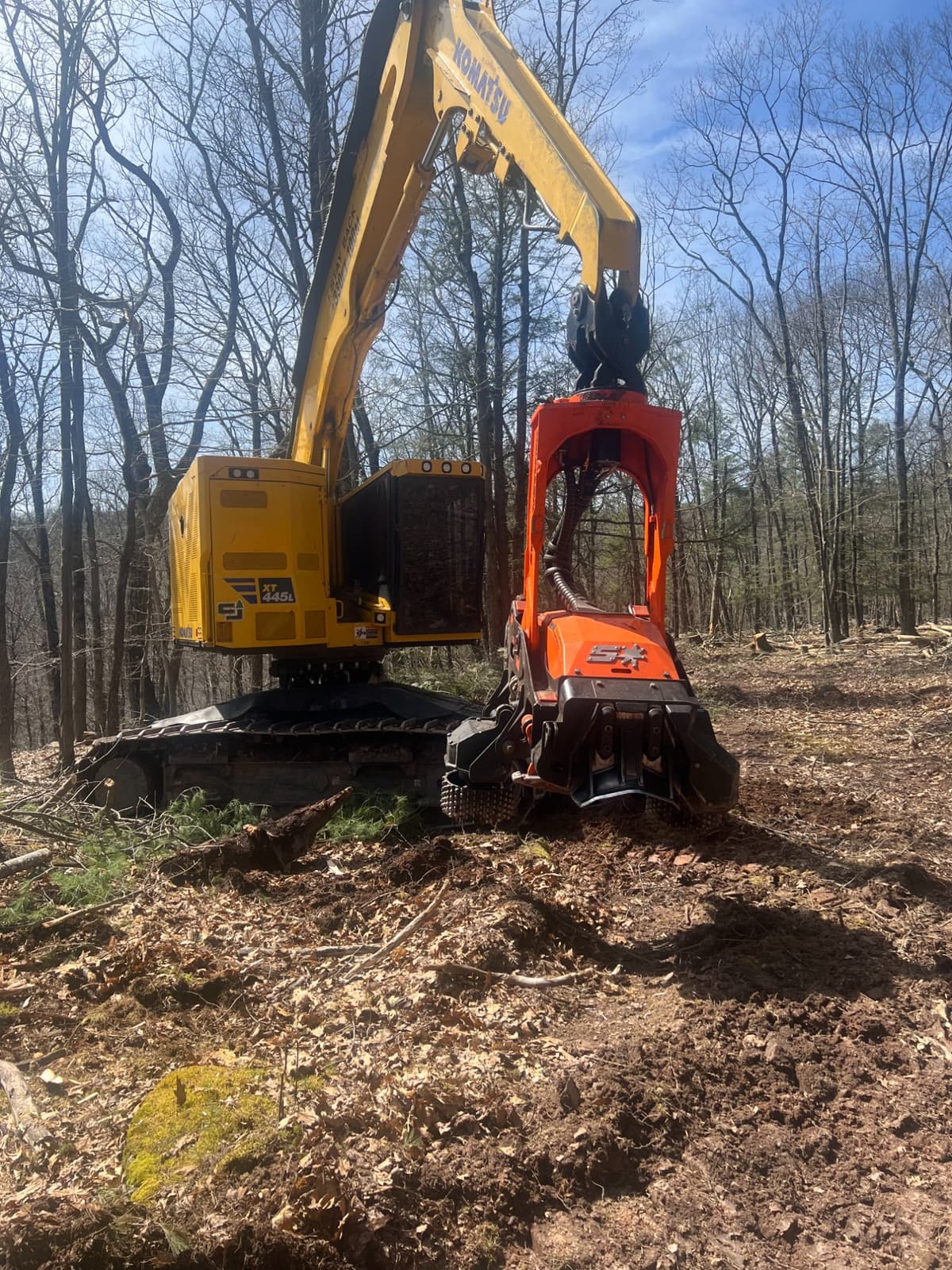 Komatsu feller buncher working through dense hardwood stand