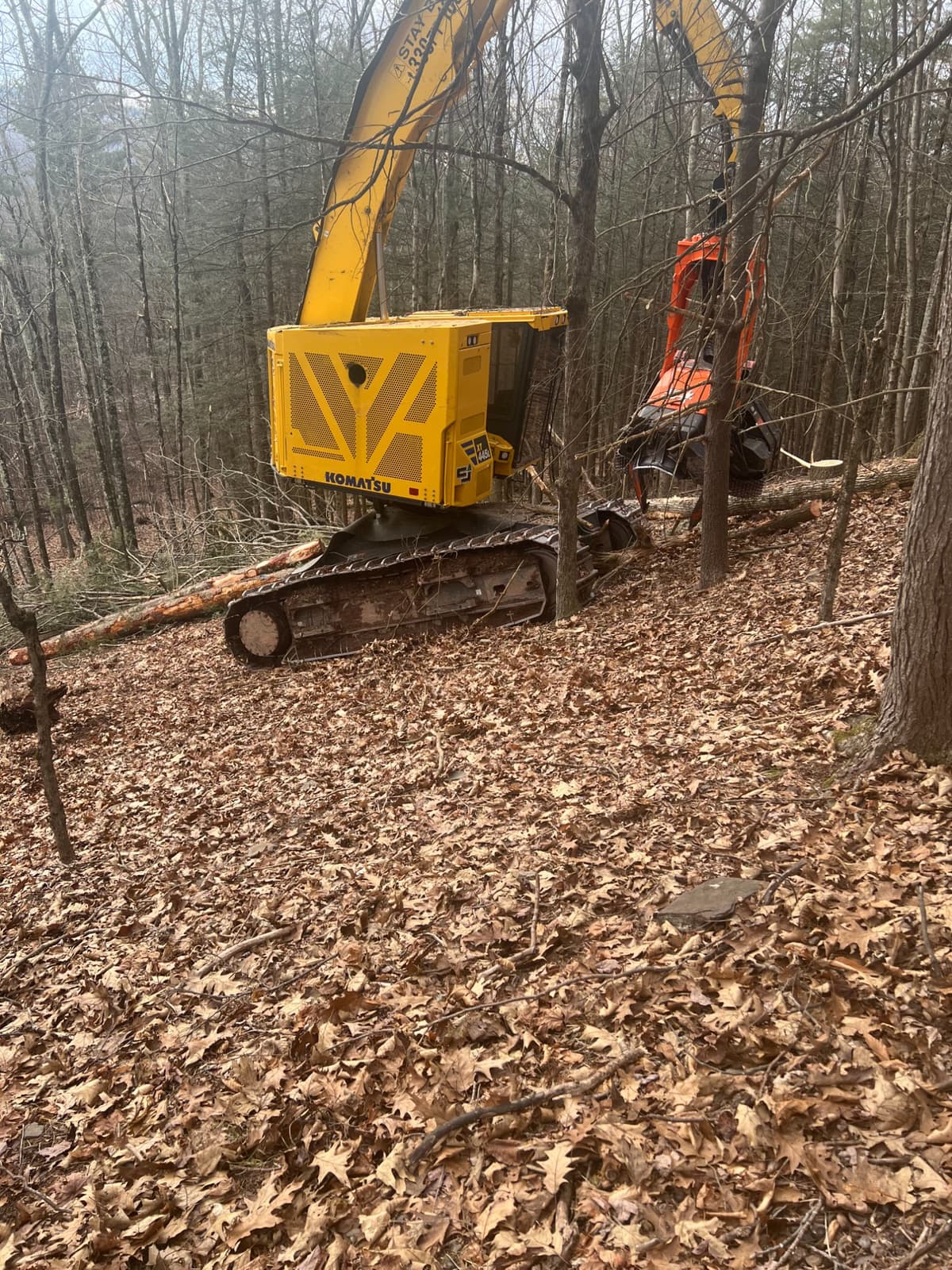 Timber harvesting operation with Komatsu equipment in the Hudson Valley