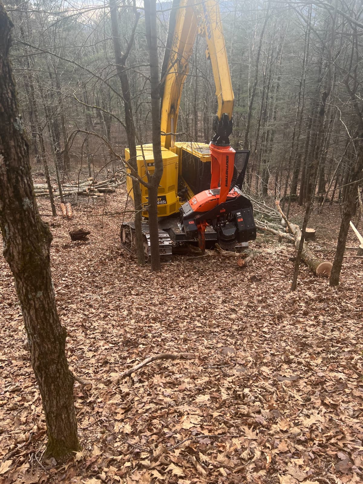 Feller buncher positioned on a selective harvest landing