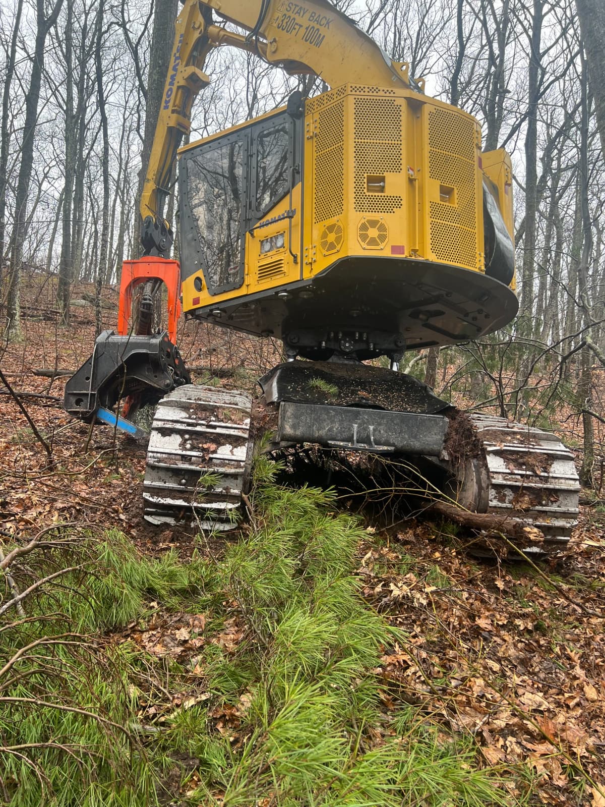 Komatsu feller buncher completing a cut on a hardwood site