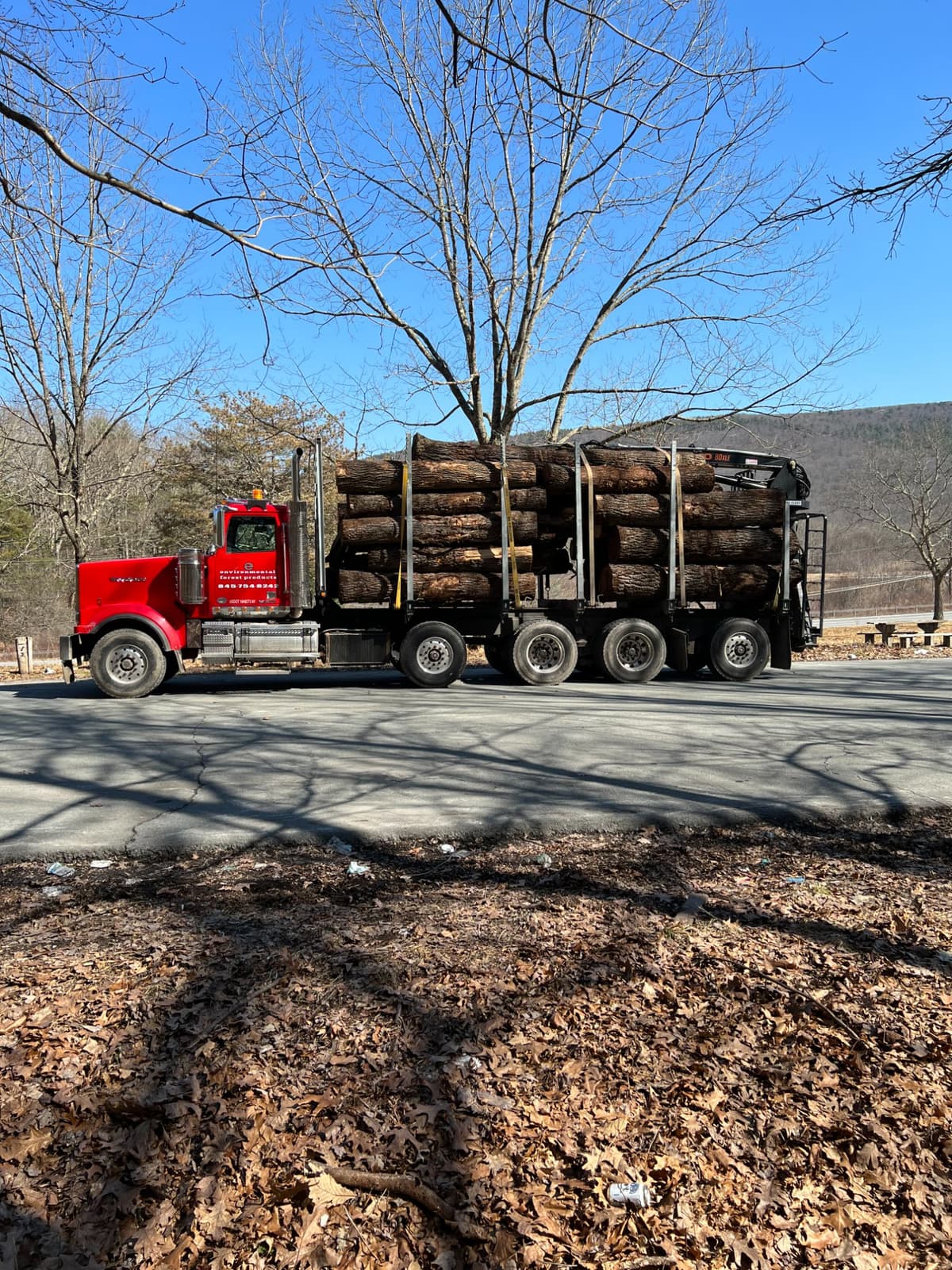 EFP log truck hauling premium hardwood timber from Sparta, NJ — standing timber marketing and sale