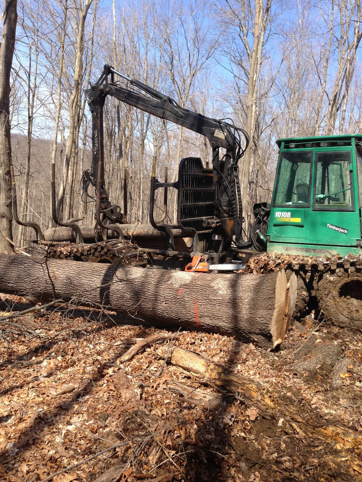TimberPro forwarder loading logs on an NYC DEP project in Carmel, NY — professional forestry operations under an active management plan