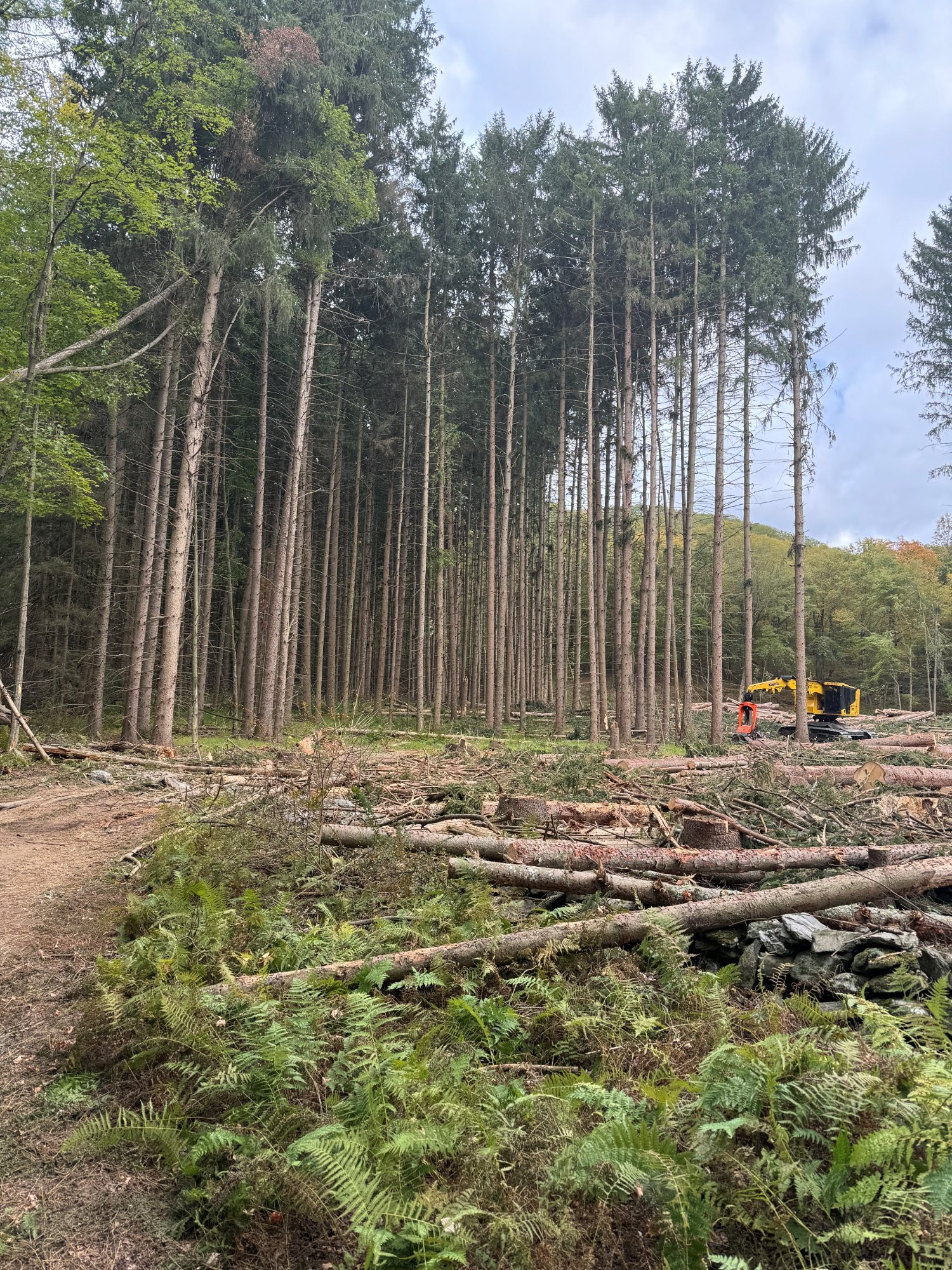 Environmental Forest Products logging equipment, Westbrookville NY