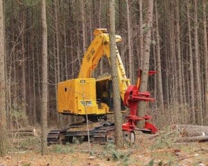 forestry equipment - racked feller buncher