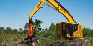 forestry equipment - racked feller buncher