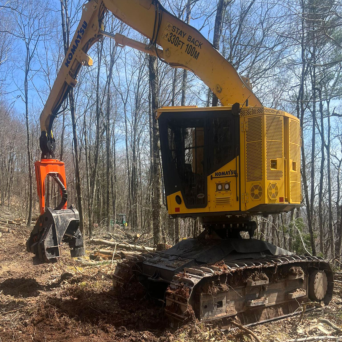 land-clearing-thumb land-clearing-thumb