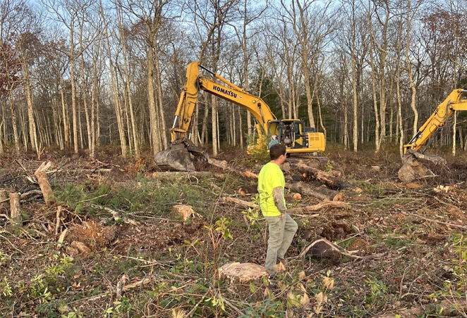 timber-harvesting-thumb Timber harvesting