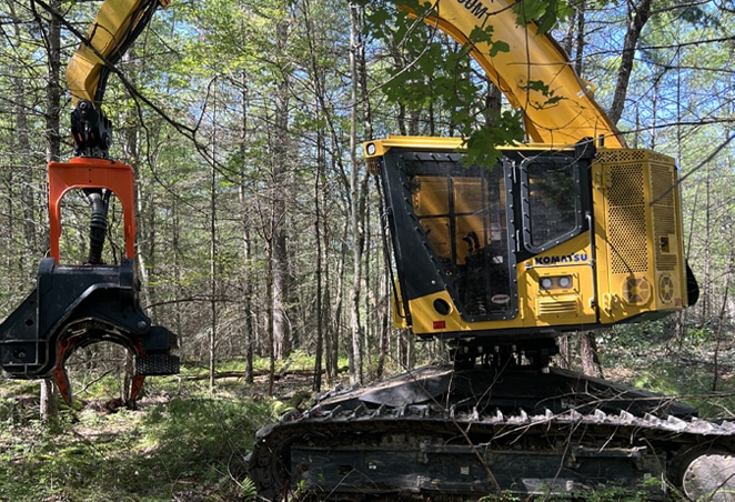 woodlot-thumb woodlot-thumb